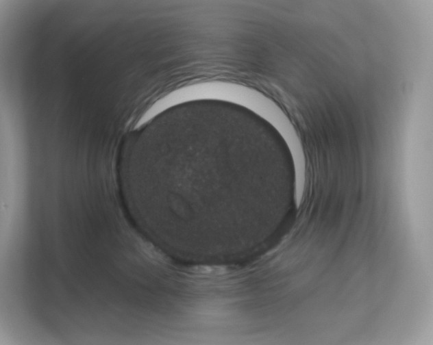 X0000111590524200907301429