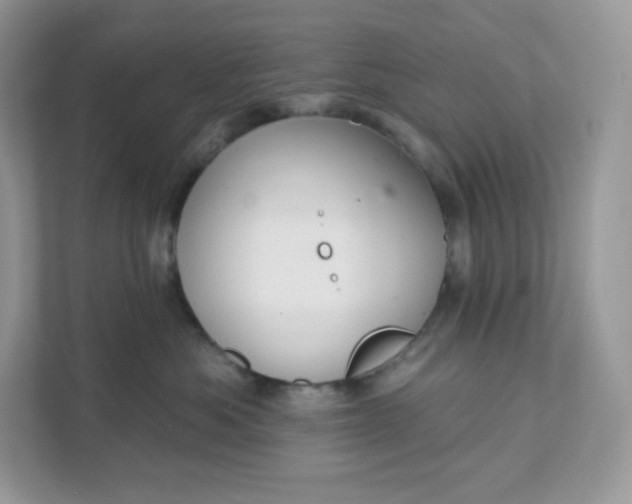 X0000111590525200907301429