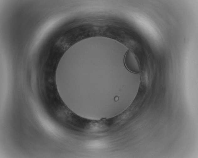 X0000111590526200907301429