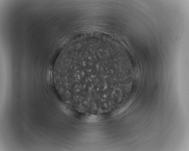 X0000111590527200907301429