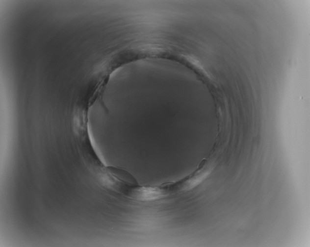 X0000111590528200907301429