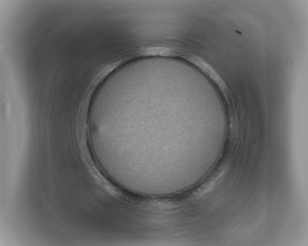 X0000111590529200907301428