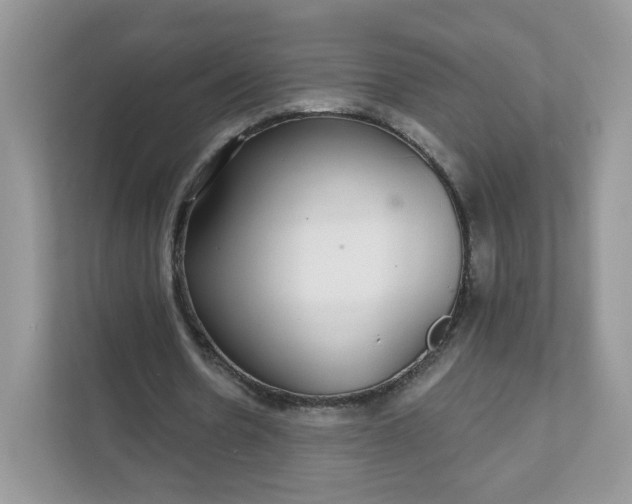 X0000111590530200907301428