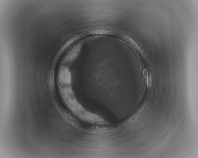 X0000111590531200907301428