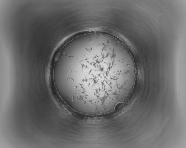 X0000111590532200907301428