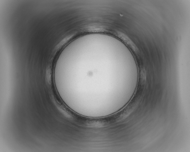 X0000111590533200907301428