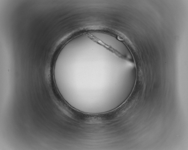 X0000111590535200907301428