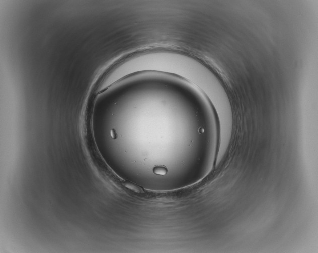 X0000111590536200907301428