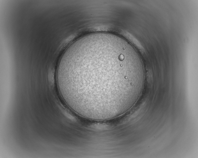 X0000111590537200907301428