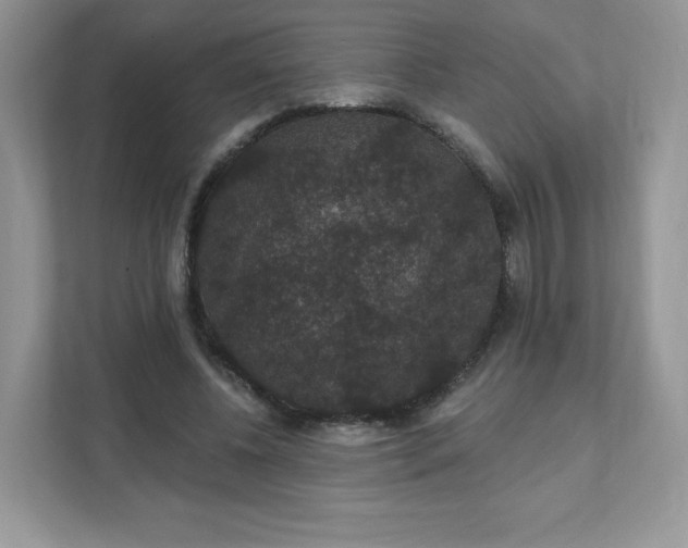 X0000111590540200907301428