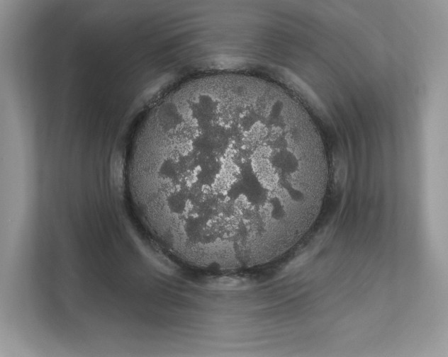 X0000111590542200907301428