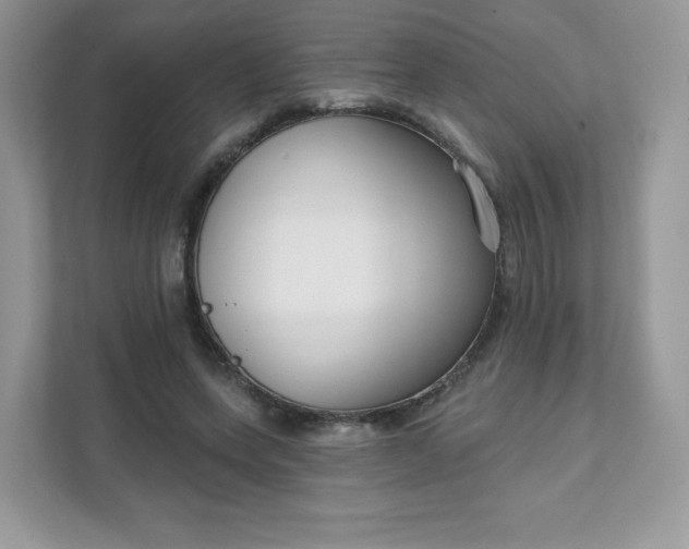 X0000111590543200907301428