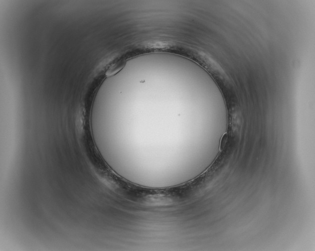 X0000111590544200907301428