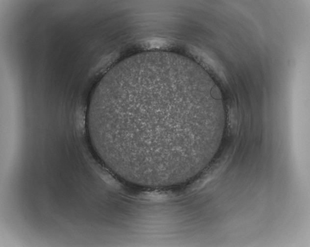 X0000111590545200907301428