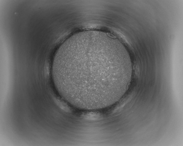 X0000111590546200907301428