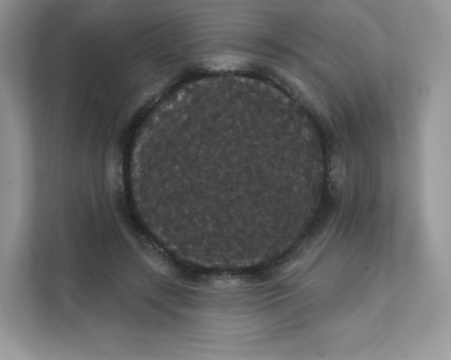 X0000111590547200907301428