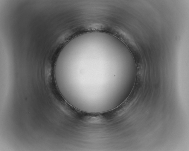 X0000111590548200907301428