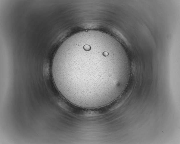 X0000111590549200907301428