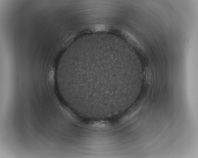 X0000111590550200907301428