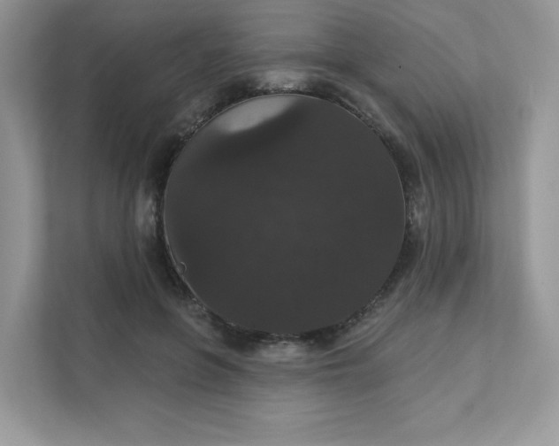 X0000111590551200907301428