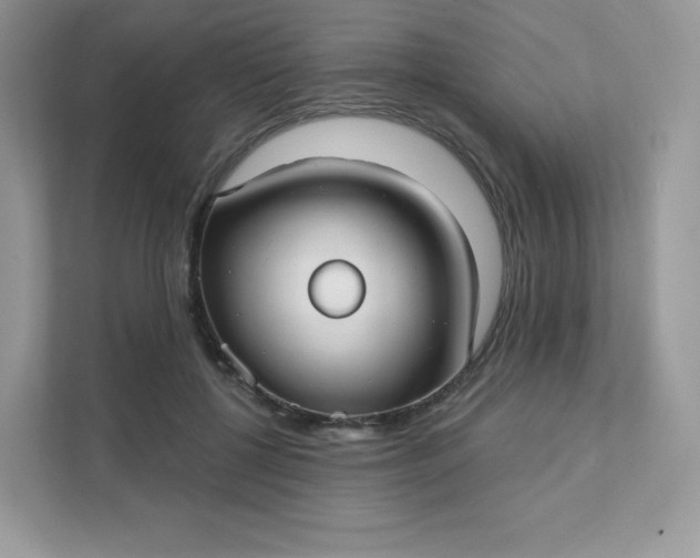 X0000111590552200907301428