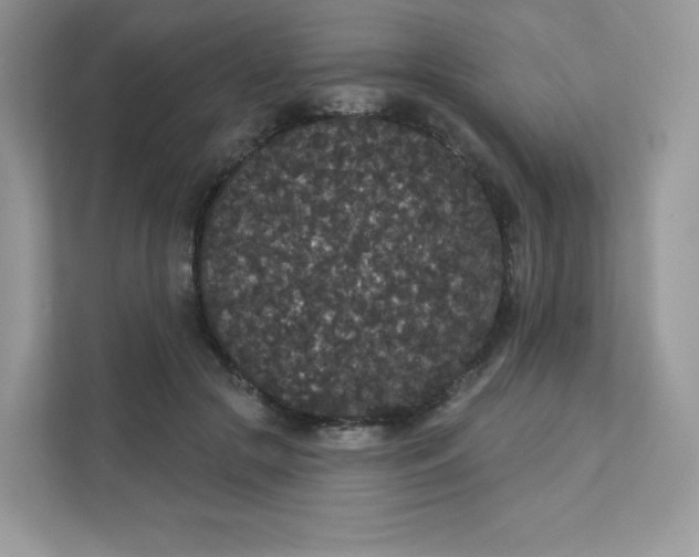 X0000111590553200907301428