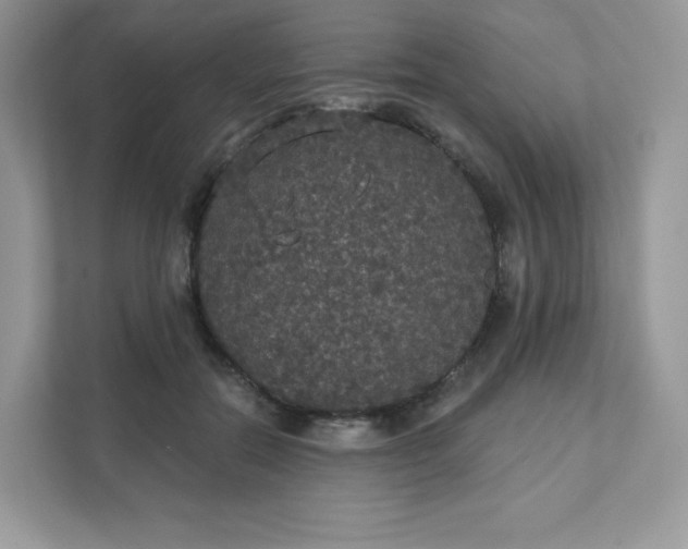 X0000111590554200907301428