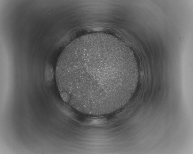 X0000111590555200907301428