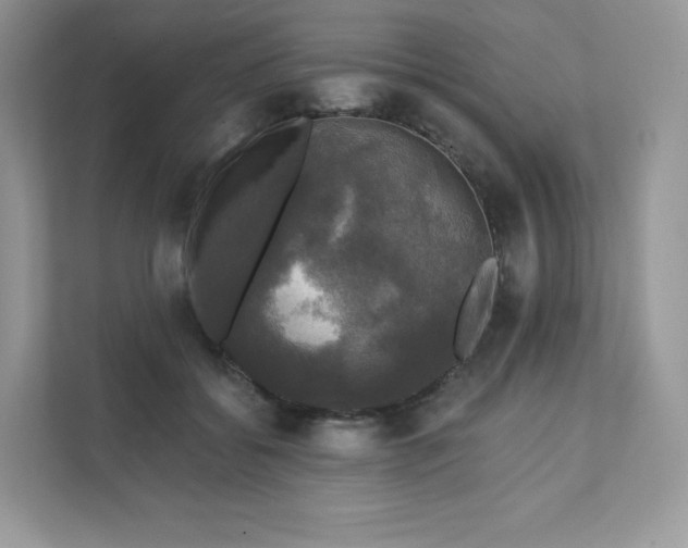 X0000111590556200907301428