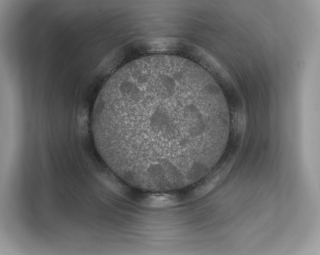 X0000111590557200907301428