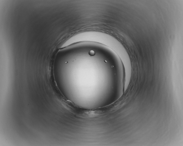 X0000111590558200907301428