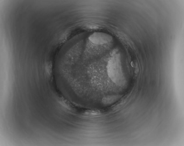 X0000111590559200907301428