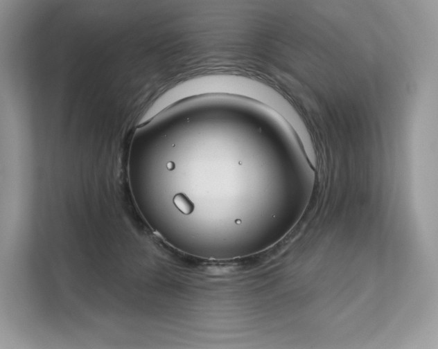 X0000111590560200907301428