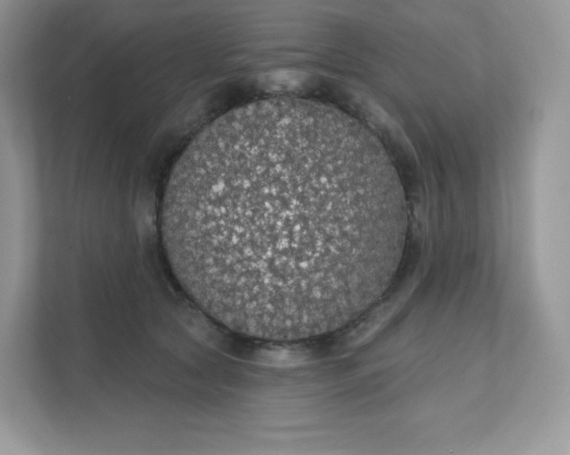 X0000111590561200907301428