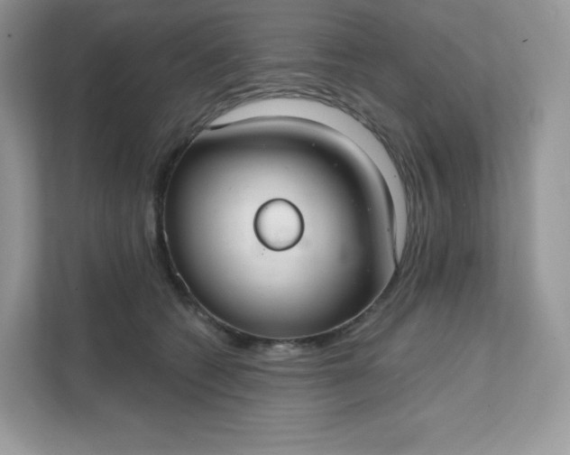 X0000111590562200907301428