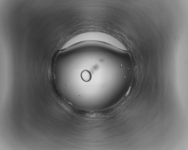 X0000111590564200907301428