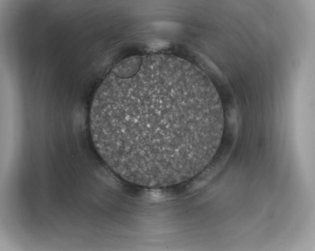 X0000111590565200907301428