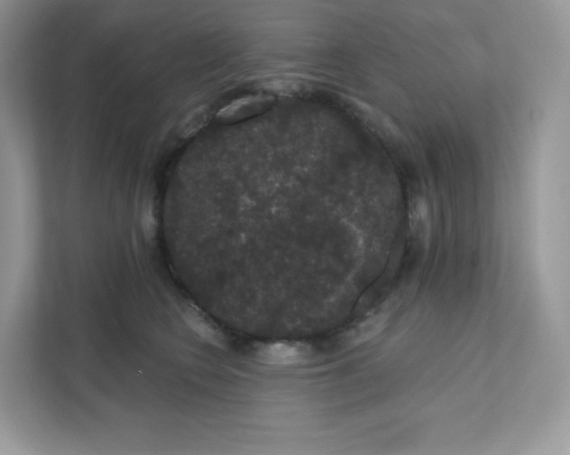 X0000111590566200907301428