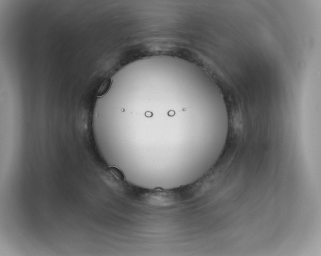 X0000111590567200907301428