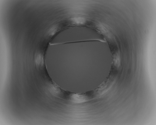 X0000111590568200907301428