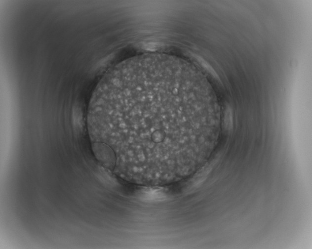 X0000111590569200907301428