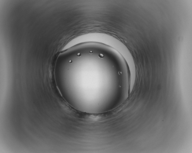 X0000111590570200907301428