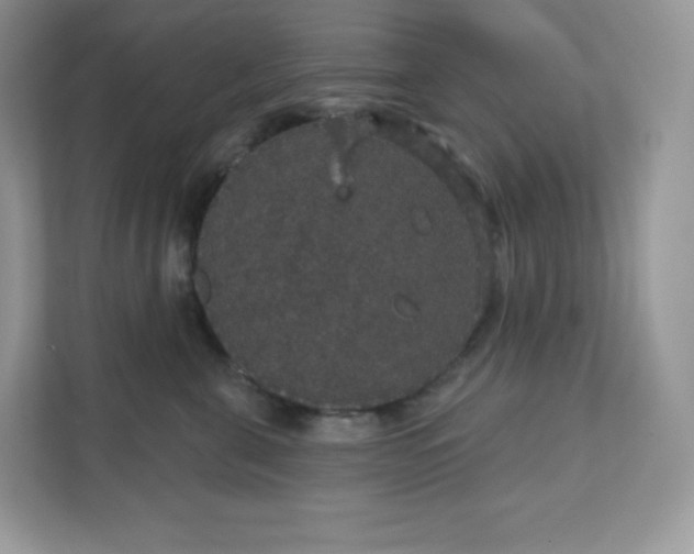 X0000111590571200907301428