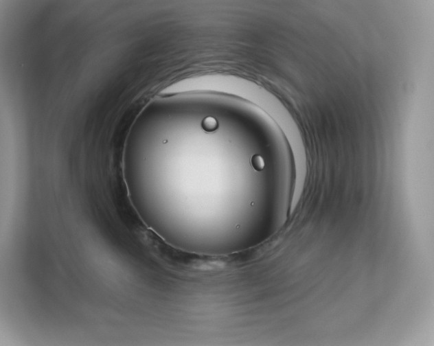 X0000111590572200907301429