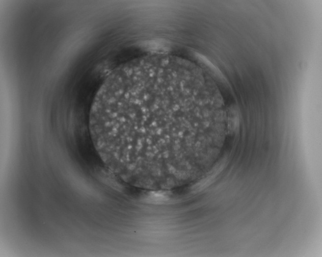 X0000111590573200907301429