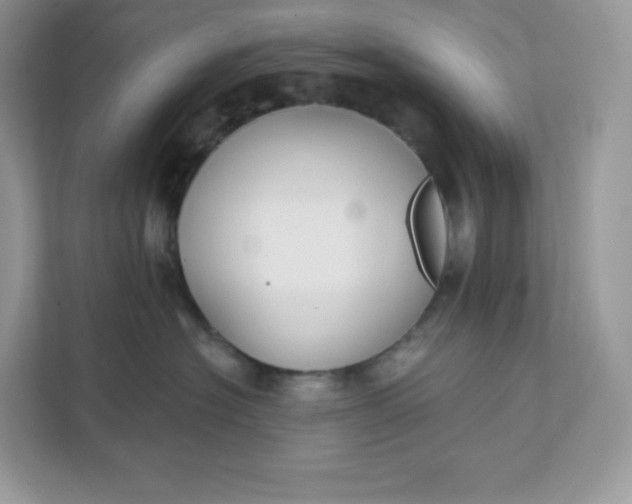 X0000111590574200907301429