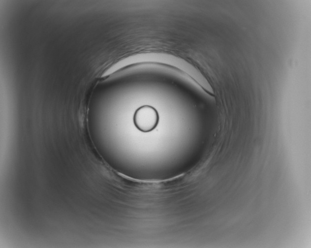 X0000111590576200907301429