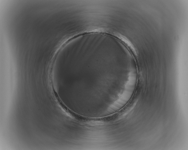 X0000111590577200907301428