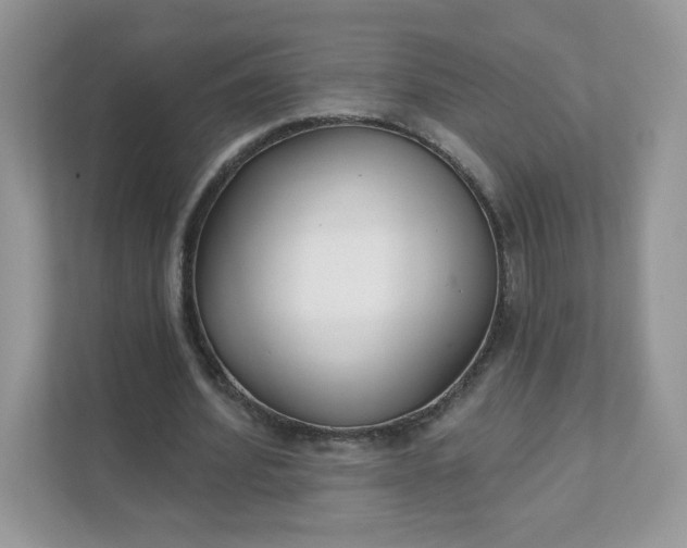 X0000111590580200907301428