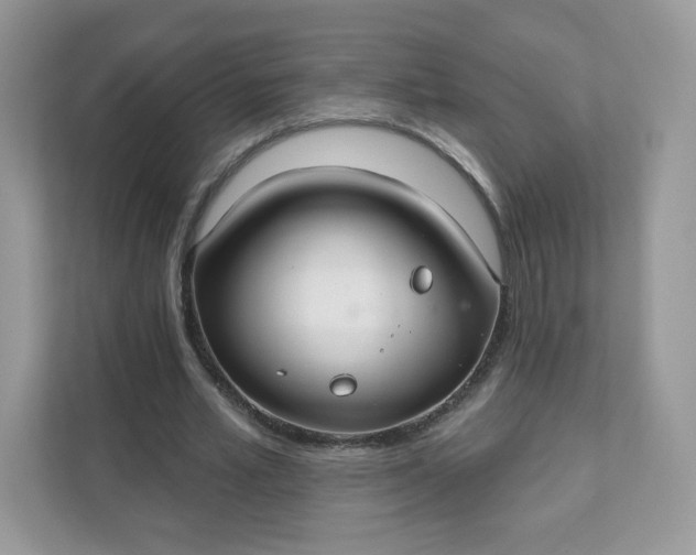 X0000111590581200907301428